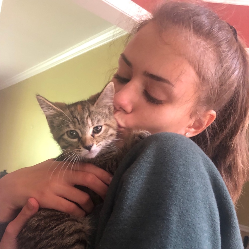 Meet your Posher, Daisy
